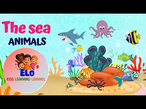 Sea Animals for Kids