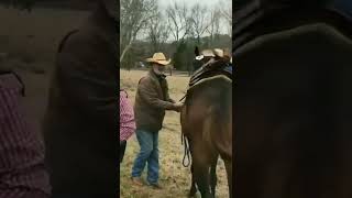 Funny fails part - 4, New trending Funny short video #shorts #horseriding  #trending #viral #gameon