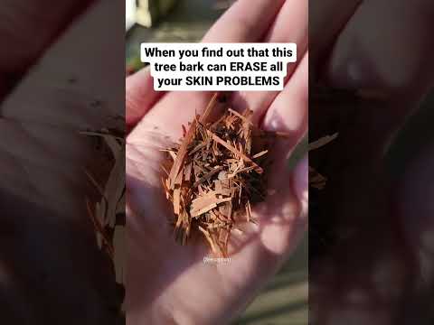 Pau Darco Bark help with skin problems