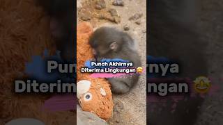 Download lagu Akhirnya Monyet yang ditinggalkan ibunya viral kini Diterima lingkungan #trending #vidoeshort #fypシ mp3 Download lagu Akhirnya Monyet yang ditinggalkan ibunya viral kini Diterima lingkungan #trending #vidoeshort #fypシ mp3