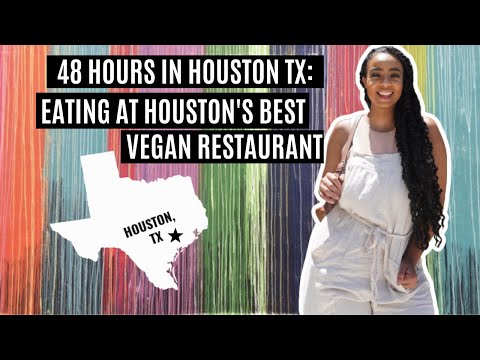 48 Hours in Houston: Finally Trying Verdine! Houston's Best Vegan Restaurant! ?