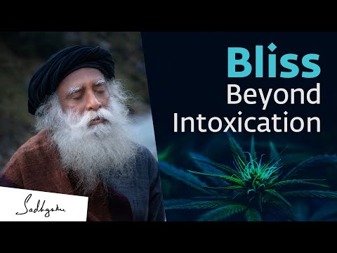 Bliss Beyond Intoxication | Sadhguru