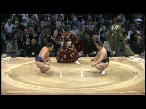 Kakuryu vs Harumafuji