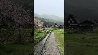 Japan’s most beautiful village! 🇯🇵 #4kwalk #walkingtour #japan #villagelife #shirakawago #relaxing