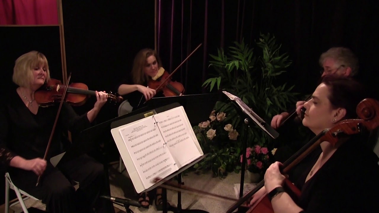 Promotional video thumbnail 10 for Sweet Harmony Live Music