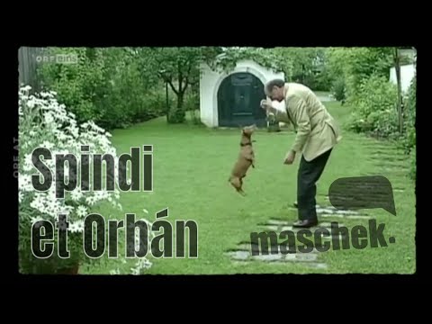 maschek WÖ 251 - Spindi et Orbán