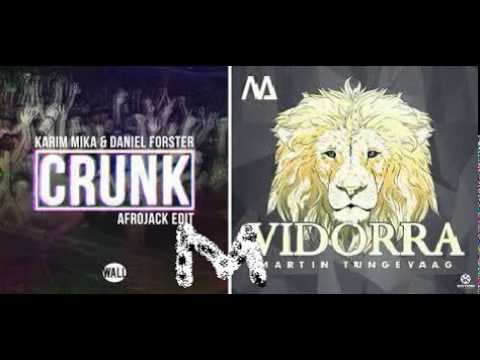 Martin Tungevaag vs Karim Mika & Daniel Forster (Afrojack Edit) - Vidorra Crunk
