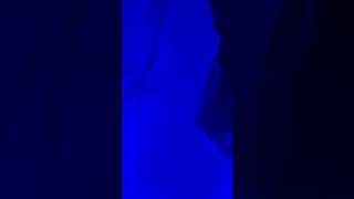 Show me the right way