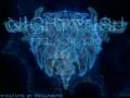 Nightwish Feel For You
