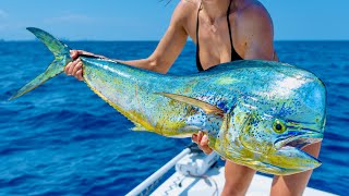 Big Miami Bull Dolphin | Memorial Day Weekend