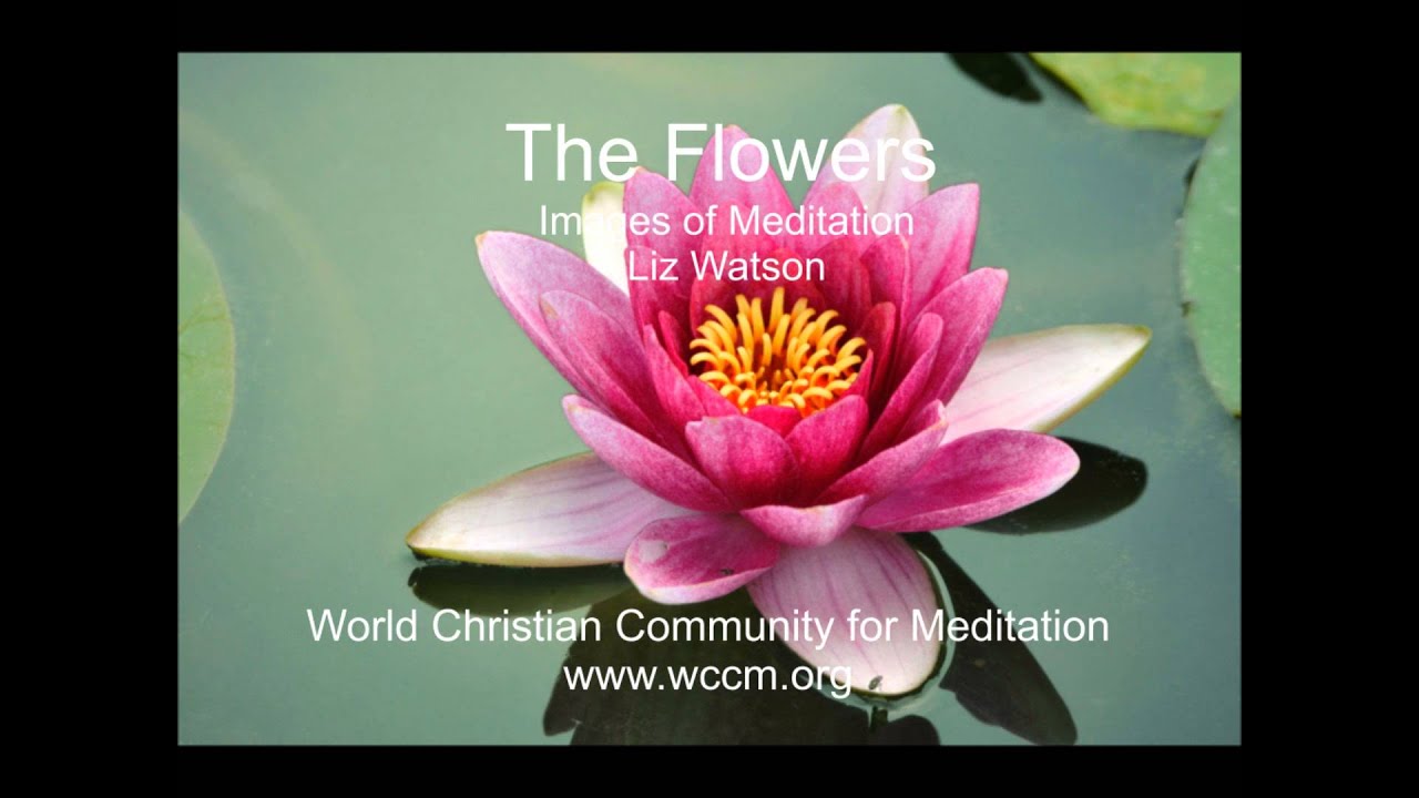 Images of Meditation: 5. The flowers Liz Watson