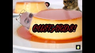 DIY E-liquid for Beginners:  Custard Flavorings