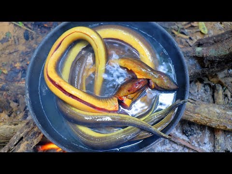 Yummy Eels Recipe Cooking with Banana Flower in Forest Eating Delicious