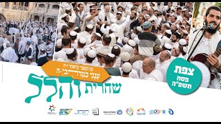 תפילת הלל בשירה שמחה וכוונת הלב מצפת | הרב שמואל אליהו | יום חמישי, ד' חול המועד פסח תשפ"ה (הרב שמואל אליהו) - התמונה מוצגת ישירות מתוך אתר האינטרנט יוטיוב. זכויות היוצרים בתמונה שייכות ליוצרה. קישור קרדיט למקור התוכן נמצא בתוך דף הסרטון