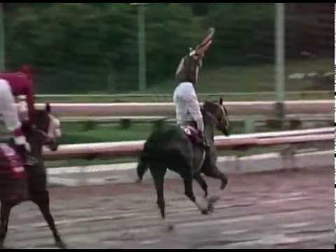 Copa Confraternidad 2001 - Gran Duque (PUR)