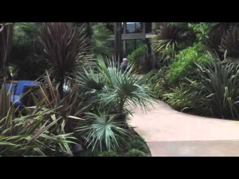 Loren's 26th Birthday   Hyatt Mission Bay