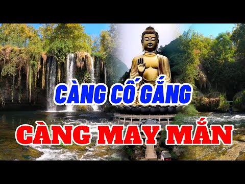 Càng Cố Gắng Càng May Mắn - Bạn Sẽ Vượt Qua Tất Cả - Hãy Sống Thật Ý Nghĩa Mỗi Ngày - Đáng Suy Ngẫm