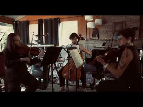 Promotional video thumbnail 1 for BC Trio