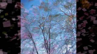 All The Pretty Things~Tenth Avenue North