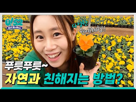 [생방송0!52] 푸릇푸릇, 자연과 친해지는 방법