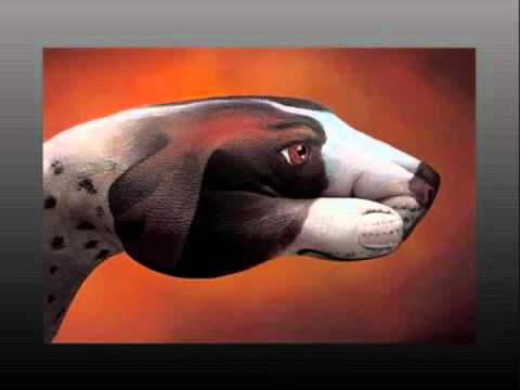 Marcus Schossow & Thomas Sagstad Ft Miro - By Your Side Moog Me (DjFrank Remix)