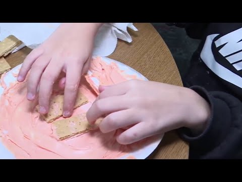🧪 Science with Sarah: Graham Cracker Plate Tectonics 🌋