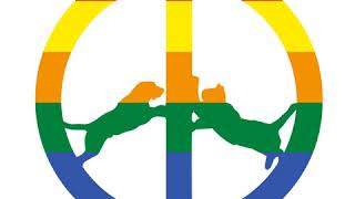 Hype Williams - Loud Challenge