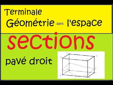 géométrie dans l'espace et section   exercice 4 pavé droit