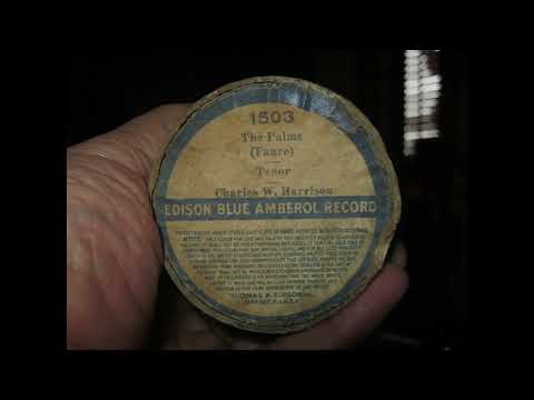The Palms - Edison Phonograph