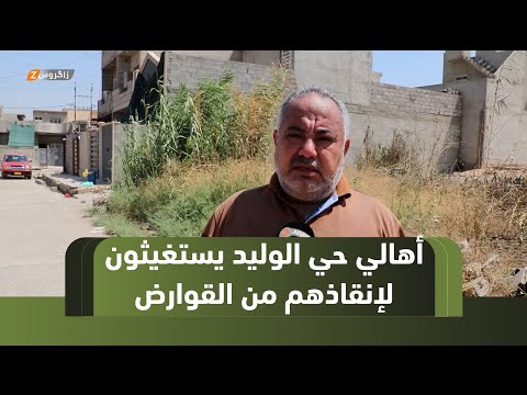 فيديو | نينوى  أهالي حي الوليد يستغيثون من القوارض ومجرى المياه الآسنة يقطع الحي