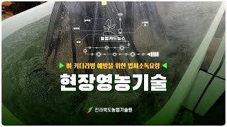 [현장영농기술] 벼 키다리병 예방을 위한 볍씨소독요령