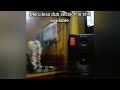 Merciless - War Criteria - Dubplate style