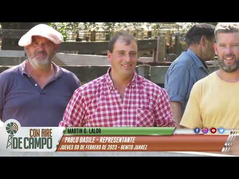 Pablo Basile - remate de Martín G. Lalor - Jueves 9 de febrero de 2023 - Benito Juárez