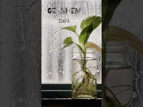 RAIN in Hebrew #hebrew #language #rain