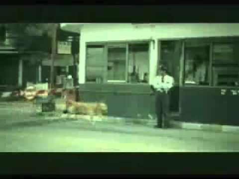 vetevrasje (funny).mp4