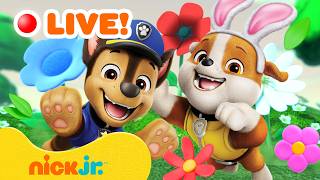 Download lagu 🌼 LIVE: PAW Patrol Spring Adventures w/ Rubble & Zuma in a 24/7 Marathon! | Nick Jr. mp3