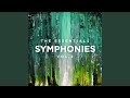 Symphony No. 4, "Heroes": IV. Sons of the Silent Age