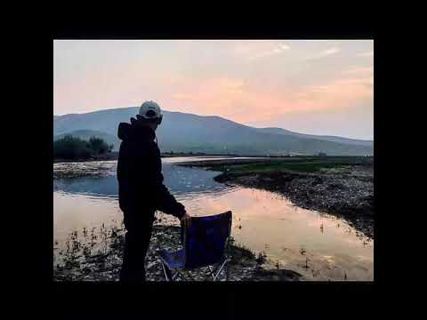 TEMRAZ - FUCKING Love