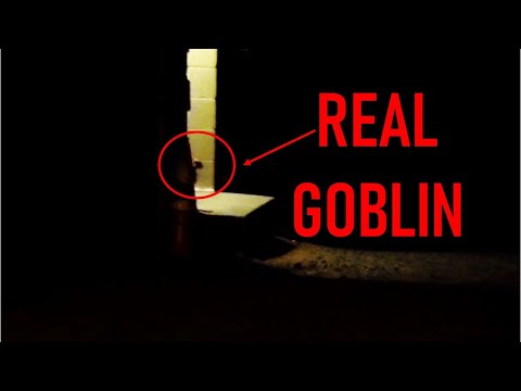 TOP 10 REAL GOBLINS CAUGHT ON CAMERA | GOBLIN SIGHTINGS TROLL FAIRY ELF MONKEY