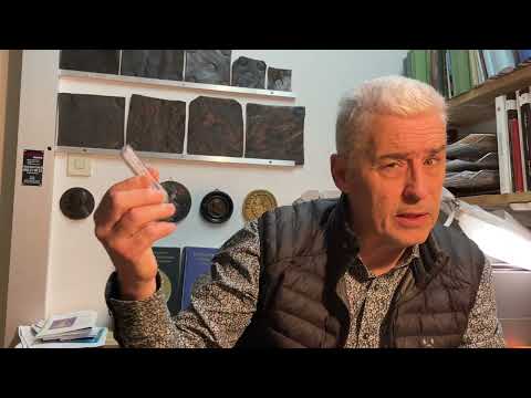 Certifiering av Mynt - NGC & PCGS fördelar och nackdelar av Roberto Delzanno