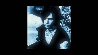 M83 - fields, shorelines and hunters (nesoika remix)