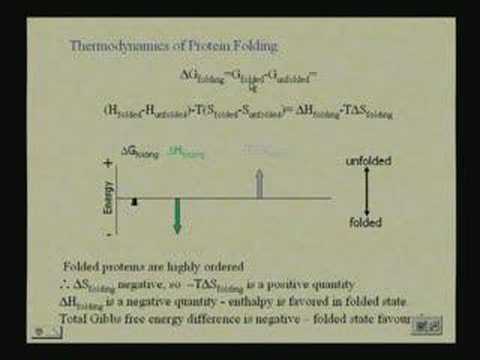 Protein Structure 4