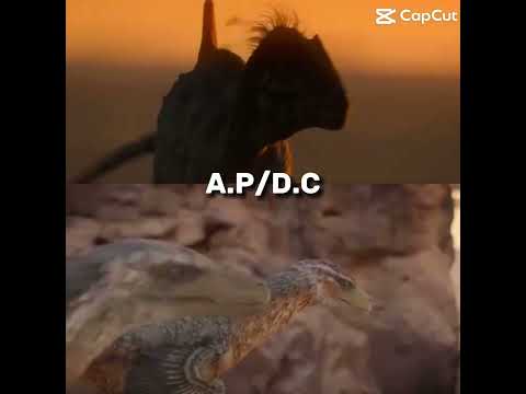 Concavenator Vs 2 Velociraptors