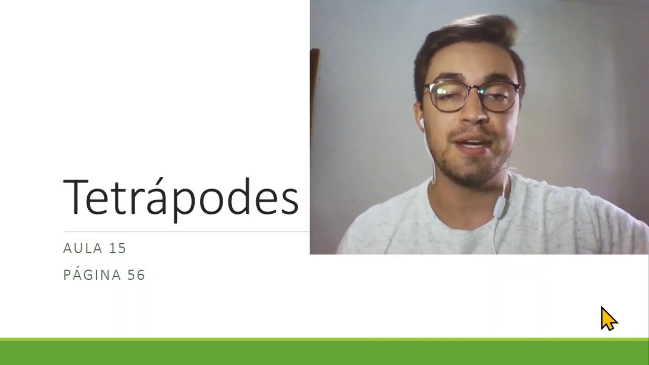 Evolução dos Tetrápodes - 2° ano EM