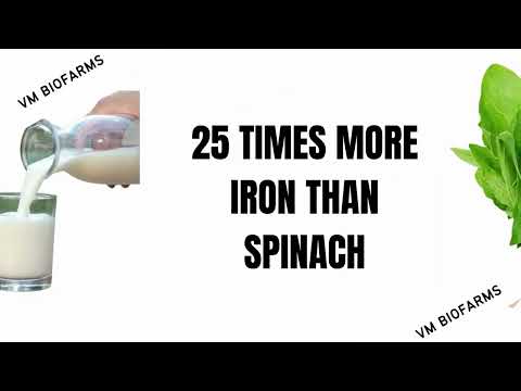 Green solid organic moringa dried leaves, packaging type: lo...