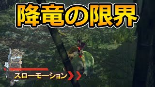 [MHR ] 飛翔龍劍 正確的使用方式(無用)