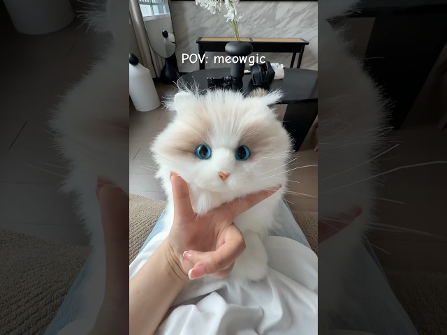 Vídeo relacionado con metaCat Bicolour - Juguete Robot Gato de Peluche Interactivo Compañero Mascota Electrónica con Comando de Voz e Interacción Rica, Regalo para Personas Mayores, Niños y Adultos | Carga Tipo-C