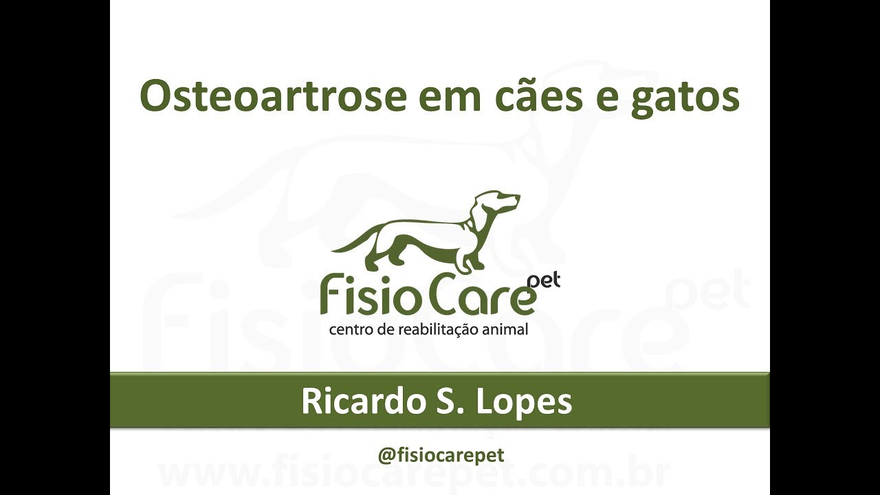 Osteoartrose em cães e gatos - aula para tutores de pets