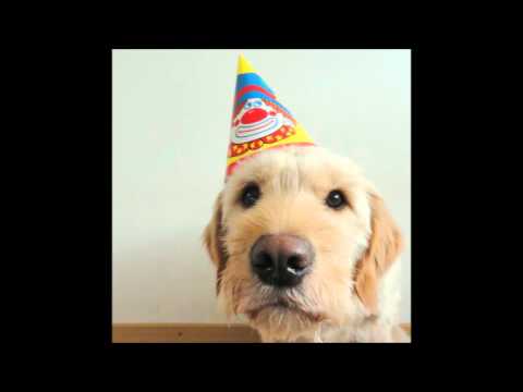 VOLLEYBAL URK - NAGELE 2-2-2016