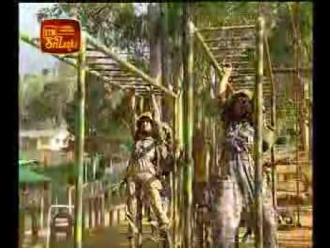 rata rakina --ranaviru upahara